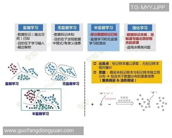 耀世娱乐自监督学习的创新探索与应用前景分析