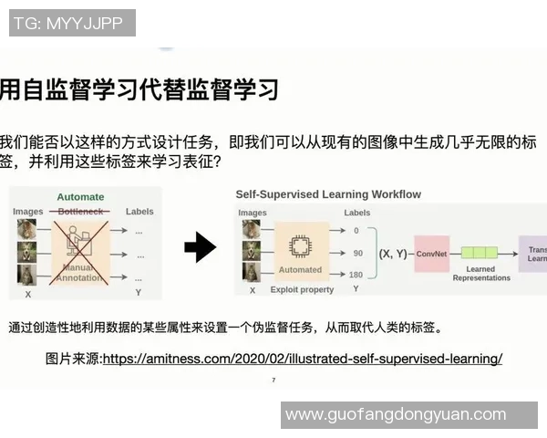 耀世娱乐自监督学习的创新探索与实践应用分析