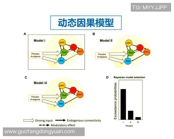 耀世娱乐因果机器学习的应用与未来发展探索