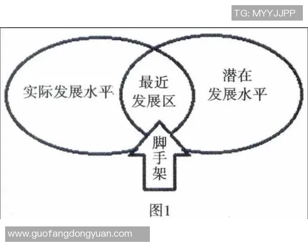 耀世娱乐对比学习平台助力学员提升学习效率与成果的全新体验