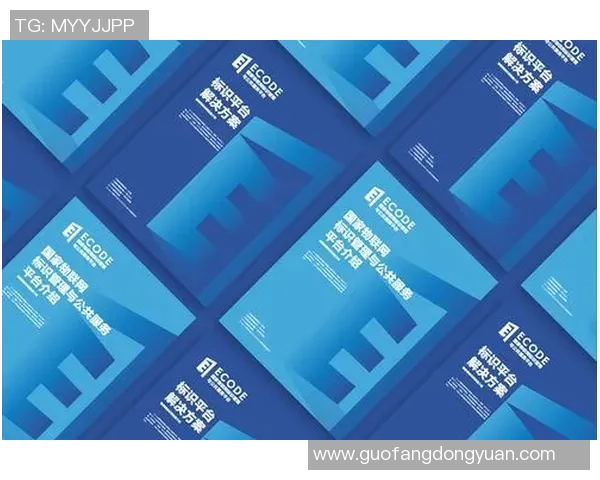 探索环签名与混币技术结合的uu国际匿名交易方案创新研究